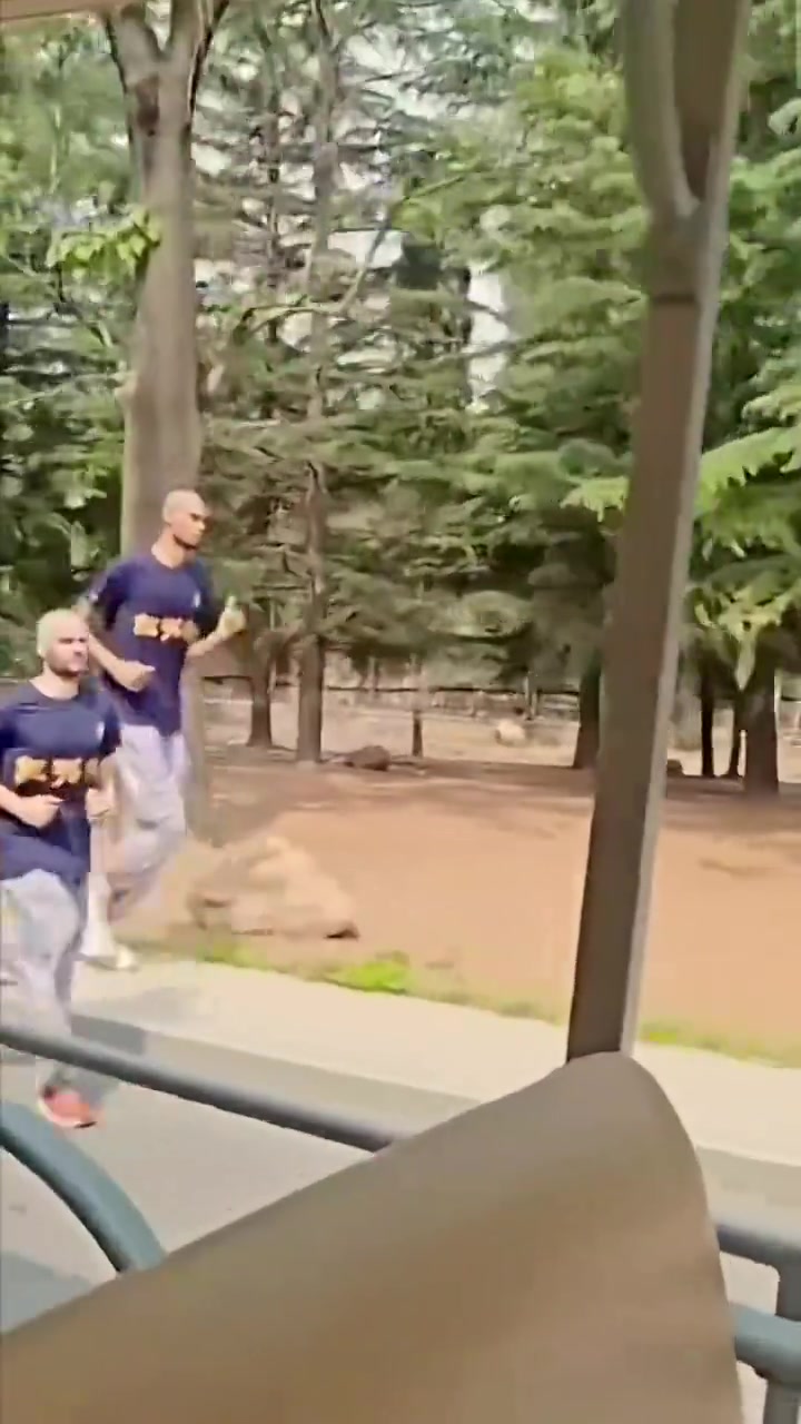 😘网友晒视频 在少林寺偶遇文班“小师傅”身着僧服晨练